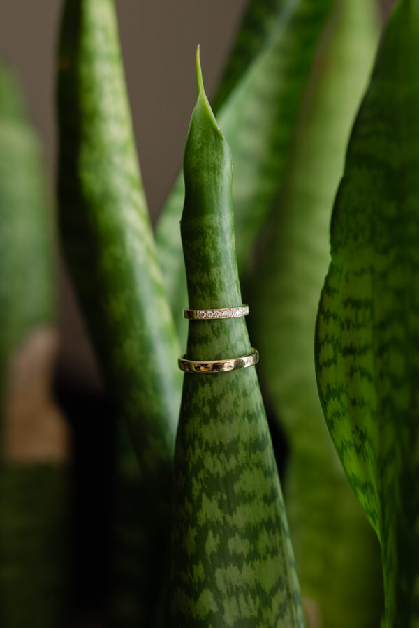 Die aus Erbschmuck gefertigten Eheringe von Samira und Klaus auf einem grünen Blatt